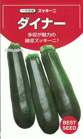 野菜種子 緑皮ズッキ－ニ「ダイナー」　13粒／50粒／100粒／500粒（タキイ種苗）　【送料込み】 瓜 うり ウリ 耐病性 早生 多収 秀品性 家庭菜園