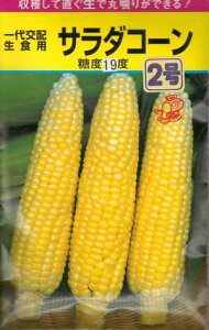 ؎q gERVuT_R[2v@ 20mlij@y݁z Ƃ낱^H