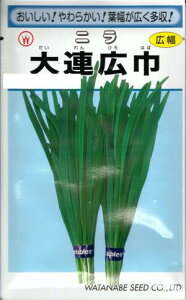 ؎q juALЁv6ml^20ml^2dlinӍ̎j@y݁zЂ͂ B ɂ