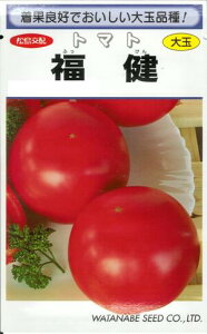 ؎q {ihg}guv31^100^1,000inӍ̎j y݁z ӂ tbP  Ri Gi  ʐ n