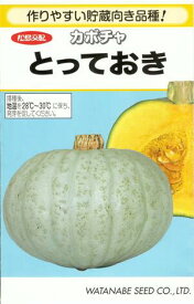 楽天市場 白 かぼちゃ 種の通販