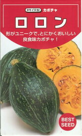 野菜種子 良食味カボチャ「ロロン」　8粒／30粒／50粒／100粒（タキイ種苗）　【送料込み】 南瓜 かぼちゃ ラグビーボール形 極粉質