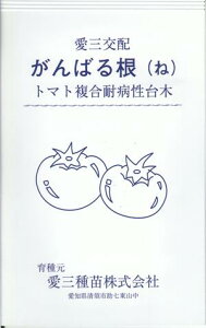 ؎q g}gϕa؁u΂鍪v@100^1,000iOcj@y݁z΂ Kol  _CM