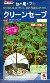 野菜種子　　『タキイ種苗』　タキイ交配　トマト用台木　グリーンセーブ　100粒詰／500粒詰／1000粒詰　　農林水産省登録品種　(品種名　TTM059)　　【送料込み】