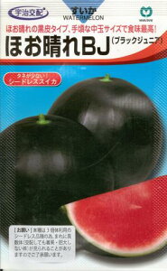 野菜種子 黒皮中玉スイカ「ほお晴れBJ」7粒/50粒/100粒(丸種)【送料込み】ほお晴れブラックジュニア ほおばれブラックジュニア 中玉西瓜 種なしすいか シードレススイカ