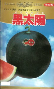 ؎q ʃXCJuzv@12^50^200i_c_j@y݁z 낽悤 N^CE ʐZ 납킨܂