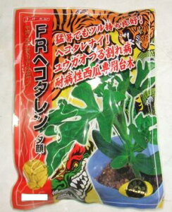 ؎q ZpEKI؁uFRwR^v400^2,000iigcj@y݁zXCJ  _CM  [ 䂤 ϕa Ϗ