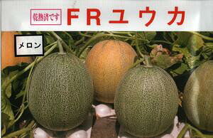 ؎q z[uFREJv@10^30^ 50^100i|AYj@y݁z