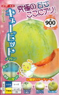 野菜種子 超高糖度メロン「キューピット」7粒／30粒／50粒／100粒（ナント種苗）【送料込み】 プリンス系…