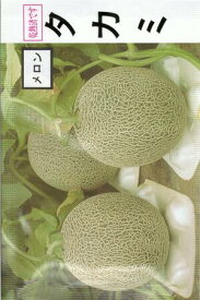 【大人気品種】野菜種子 ホームメロン「タカミ」10粒／30粒／50粒／100粒（日本園芸生産研究所）【送料込み】 甜瓜 マクワウリ うり めろん 緑肉 高糖度 貯蔵性 輸送性 うどんこ病・つる割病抵抗性