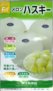 ؎q unXL[v@7^100ia_j@y݁z