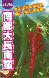 楽天市場 唐辛子 タネの通販