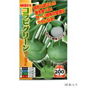 ؎q R[ruRrO[v60^2,000iigcjy݁z× JuJ Ԃ sLxc Ϗ ϊ ƒ؉ 