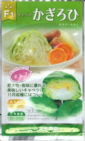 野菜種子 キャベツ「かぎろひ」　1ml（約170粒）／10ml／20ml／コ－ト5,000粒（大和農園）　【送料込み】 甘藍／きゃべつ