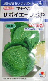 野菜種子 キャベツ「サボイエースSP」　160粒／2,000粒（タキイ種苗）　【送料込み】甘藍／きゃべつ