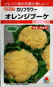 ؎q Jt[uIWu[Pv@0.5ml^20mli^LCcjy݁z ƒ؉ _ȓo^iii햼FIWh[j