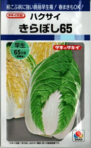 ؎q nNTCuڂ65SPv0.8mli^LCcjy݁zL{V65GXs[  ͂ ԕaϕa Ӓ 65^Cv