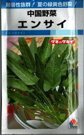 野菜種子　中国野菜　(タキイ種苗)　エンサイ　13ml袋詰　【送料込み】