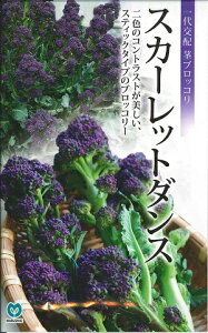 ؎q subR[uXJ[bg_Xv@25^1,000iێj@y݁zXeBbNubR[ LY }n p[v 