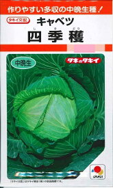 野菜種子 キャベツ「四季穫（しきどり）」　0.9ml／2,000粒（タキイ種苗）　【送料込み】　甘藍／きゃべつ／中晩生