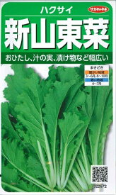 野菜種子　ハクサイ種子　『サカタのタネ』　新山東菜　10ml袋詰　【送料込み】