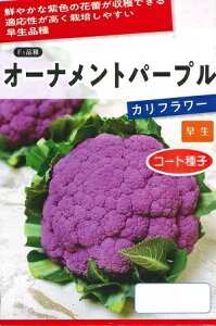 ؎q Jt[uI[igp[vv@ybg50^ybg500^ybg1,000iTJ^̃^ljy݁z