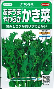 ؎q ₤܂炩JLiuv@7mliTJ^̃^ljy݁z T`E   ϊ Ԏn Đ͉