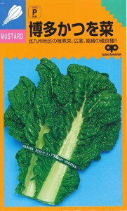 ؎q tp~؁u؁v@10mli̎jy݁z j     JcIi Jci