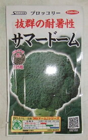 野菜種子 ブロッコリー「サマードーム」　125粒（サカタのタネ）【送料込み】耐暑性抜群 中早生 豊円形 日持ち性 家庭菜園