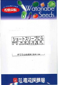 ؎q juV[gX[vv@4ml^20ml^2dlinӍ̎j@y݁zB ɂ