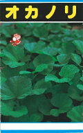 野菜種子 つけな「オカノリ」8ml（約1,600粒）／20ml／1dl（福種）【送料込み】 漬け菜 ツケナ 陸海苔 お…