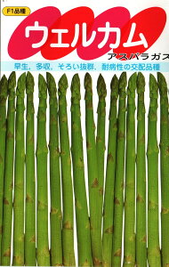 ؎q AXpKXuEGJv@0.9ml^5ml^20ml^1dliTJ^̃^ljy݁z EFJ  