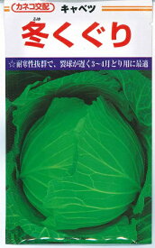 野菜種子 キャベツ「冬くぐり」　0.9ml／5ml／10ml／2dl／ペレット5,000粒（ナント種苗）【送料込み】 甘藍／きゃべつ