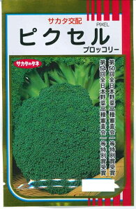 ؎q ͂ǂubR[usNZv@100^300^1,000^2,000iTJ^̃^lj@y݁z