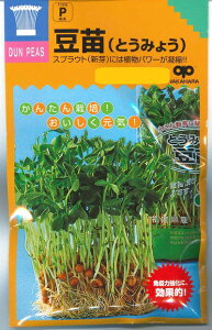 ؎q gE~Eucv30mli̎jy݁zgE~E Ƃ݂傤 XvEg GhE Os[X