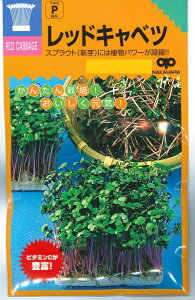 ؎q LxcubhLxcv@25mli̎j@y݁z XvEg V × ׂ r^~AEC