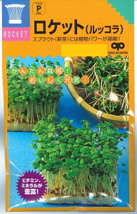 ؎q bRuPbgT_v25mli̎jy݁z[R XvEg n[u K[fPbg LoiXYV G[J AO ΉF r^~ ~l