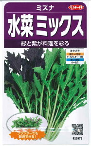 ؎q ~Yiu؃~bNXv5mliTJ^̃^ljy݁z݂ ~Yi~bNX ϊ