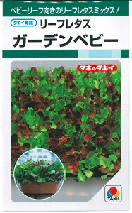 ؎q [t^XuK[fxr[v@1.5ml^20mli^LCcj@y݁zxr[[t 񌋋^X ꂽ T_ v^[͔| gC͔|