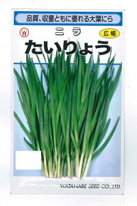 ؎q ju傤v6ml^20ml^2dlinӍ̎jy݁z^CE B tɂ 