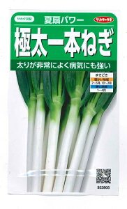 ؎q ɑ{˂uĐp[v3ml^10ml^50ml^1dl^ybg200^ybg500^ybg6,000iTJ^̃^ljy݁z Ȃp[ icIEMp[ {K {lM 