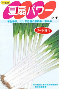 ؎q ɑ{˂uĐp[v3ml^10ml^50ml^1dl^ybg200^ybg500^ybg6,000iTJ^̃^ljy݁z Ȃp[ icIEMp[ {K {lM 