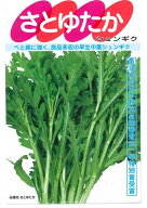 野菜種子 中葉春菊「さとゆたか」30ml／50ml／1dl／1L（サカタのタネ）【送料込み】 サトユタカ しゅんぎ…
