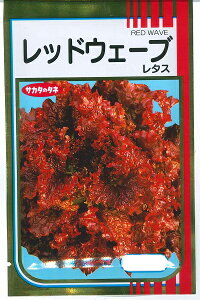 ylCiz؎q Tj[^XubhEF[uv3ml^10ml^20mliTJ^̃^ljy݁z