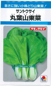 ؎q TgETCuۗtR؁v7ml^1dl^1Li^LCcjy݁z}oTgETC ܂΂Ƃ Ϗ 