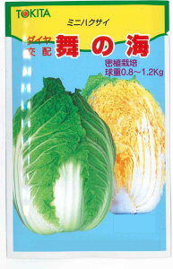 ؎q ~jnNTCůCv 2mligL^cjy݁z؁^͂^܂̂݁^}CmE~