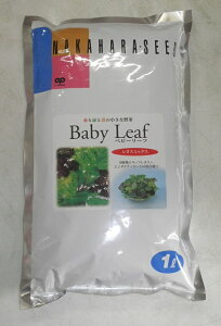 ؎q xr[[tu^X~bNXv@20ml^1Li̎jy݁z~XeBJc@ XN [t^X t`V G_Cu r[g ƒ؉ N͔|