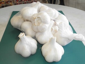 ؎q 암YjjNuj[zCgZЁvLTCY1kg (12)isjy݁zɂ[ق킢Ƃ؂ j[zCgby f f  EJ ˂ɂɂ i s