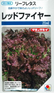 ؎q [t^Xubht@C[v1.3ml^5ml^10ml^20mli^LCcjy݁z bht@CA[ bh[t 񌋋^X   `V 