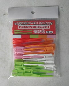 i[Œpށu 5Fv50iV[jy݁z^   C`S     